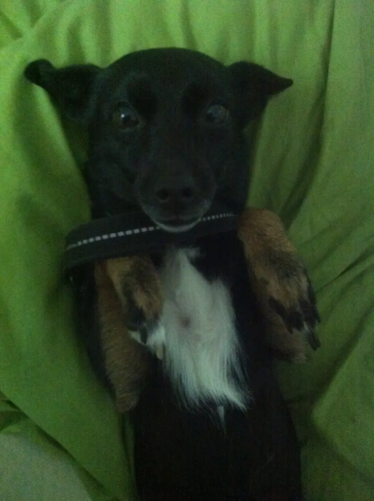 Condolence image of Leonie