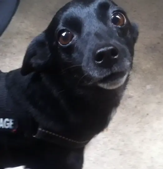 Condolence image of Leonie