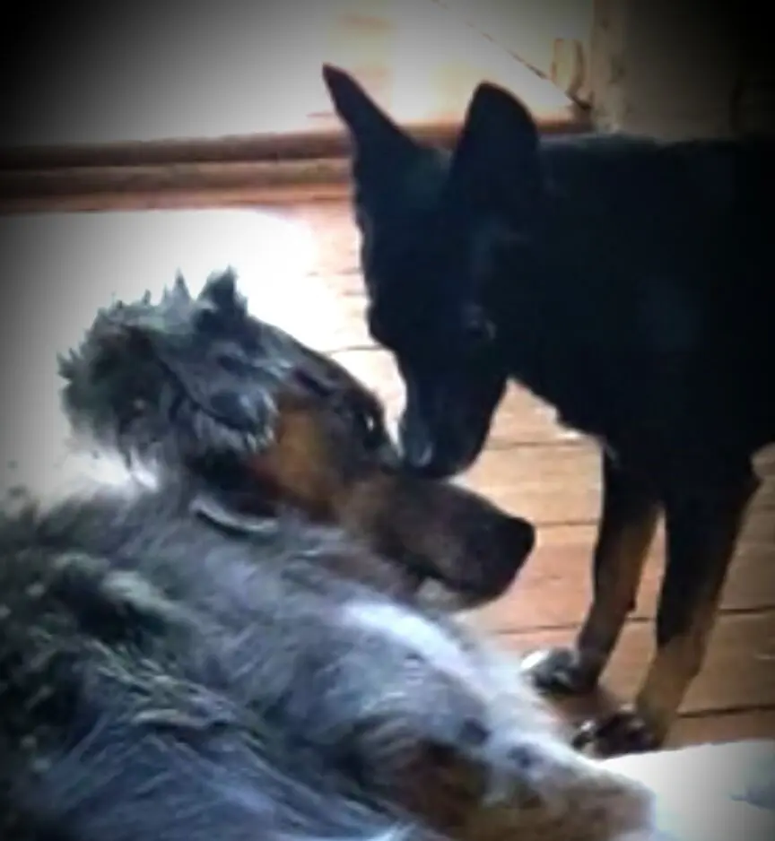 Condolence image of Leonie