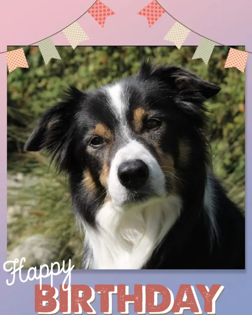 Andachtsbild von Frauchen