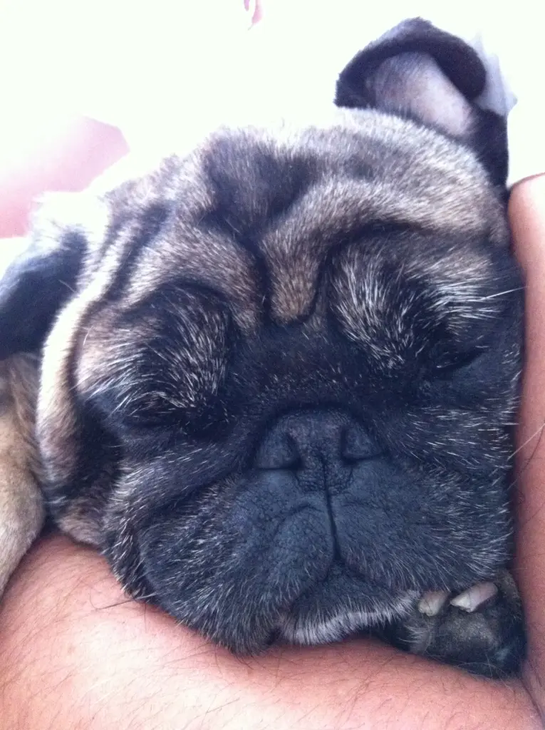 Condolence image of Tanja