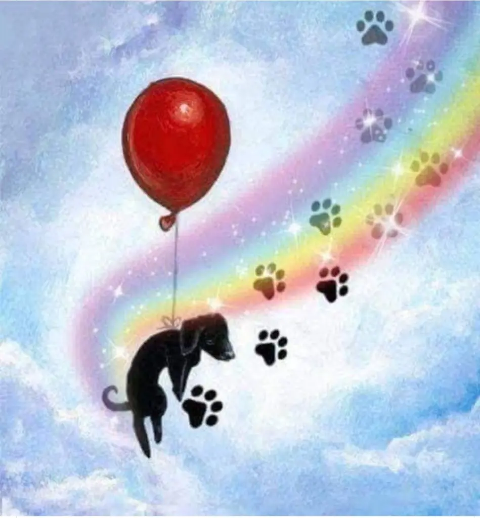 Andachtsbild von Marion MT