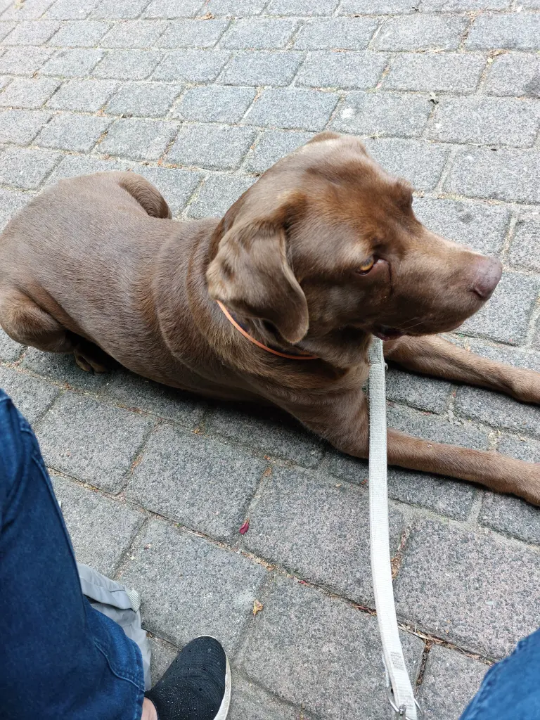 Andachtsbild von Irene Hollmann