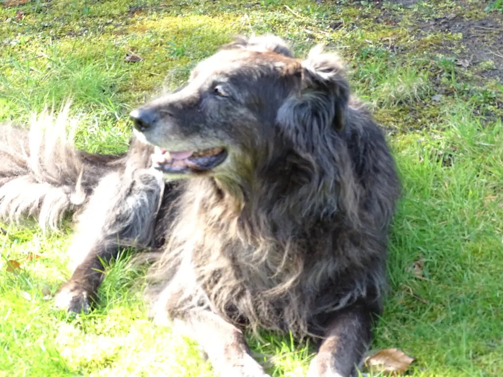 Condolence image of Gudrun