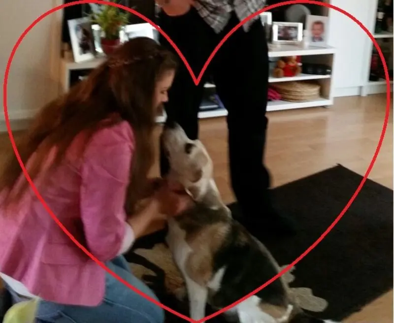 Image from Loona
