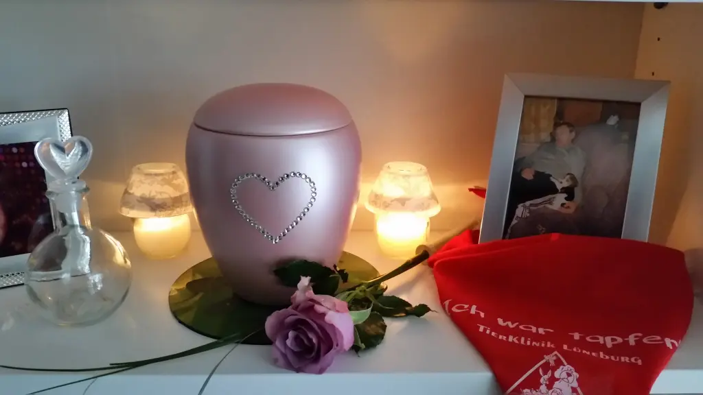 Image from Loona
