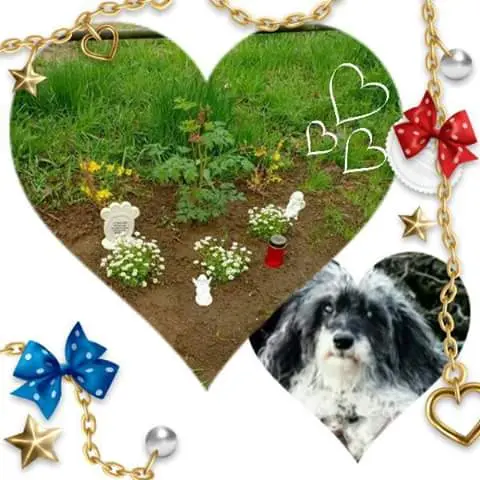Image from Bella Luzie