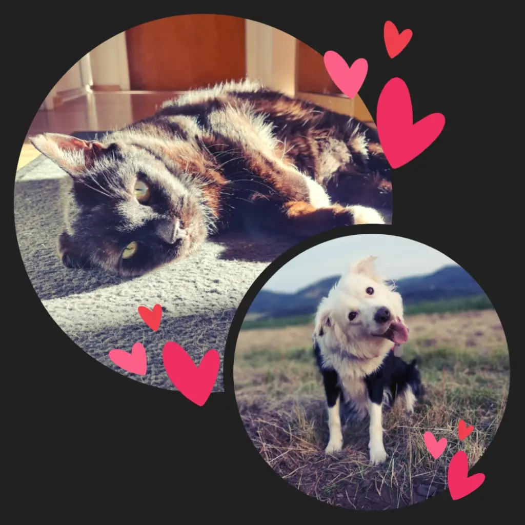 Andachtsbild von Natalie