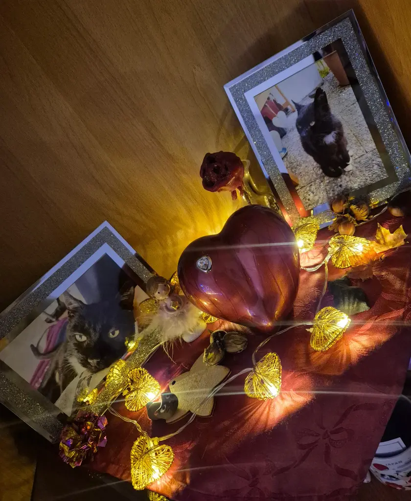 Andachtsbild von Julia