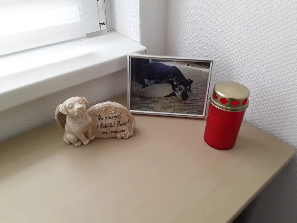 Condolence image of Jessica
