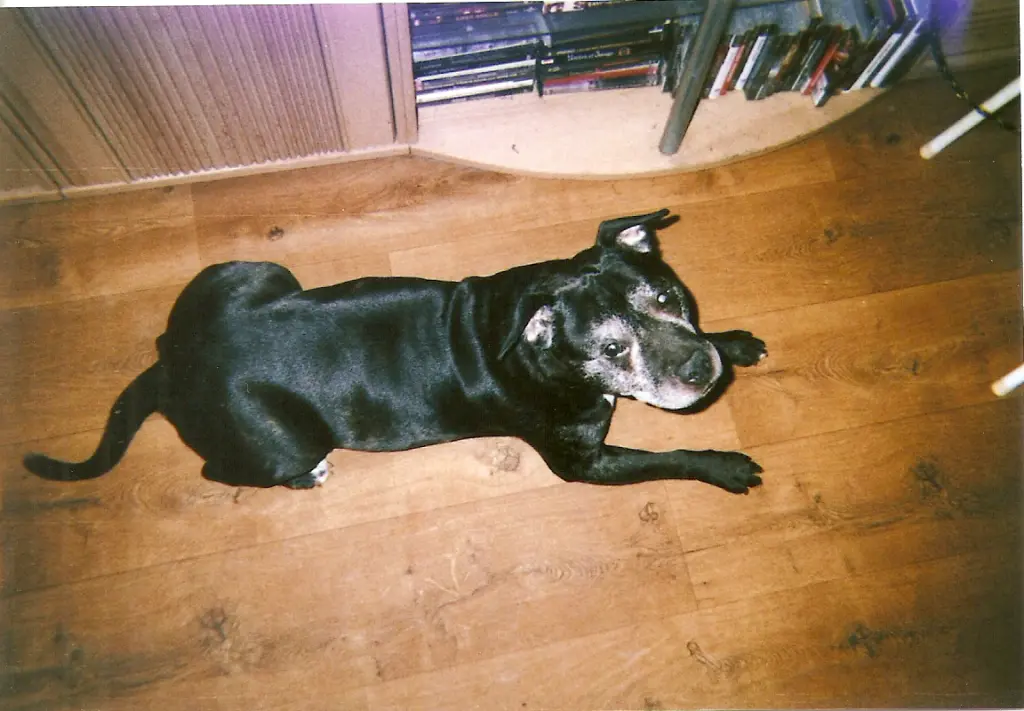 Image from Tyson