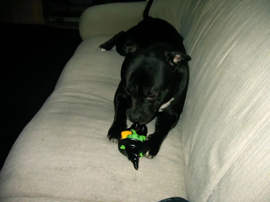 Image from Tyson