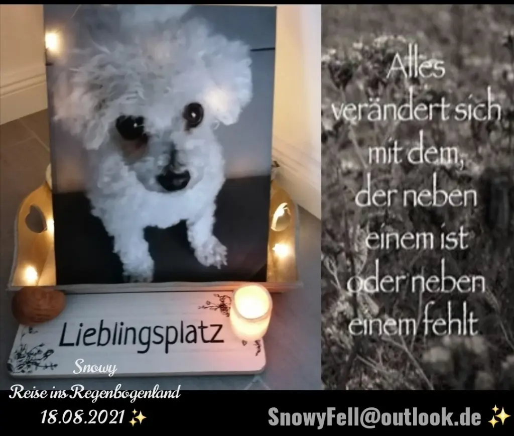 Andachtsbild von Gaby mit Snowy ❤️