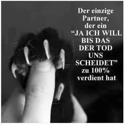 Condolence image of Für das Engelchen Sisi❤️