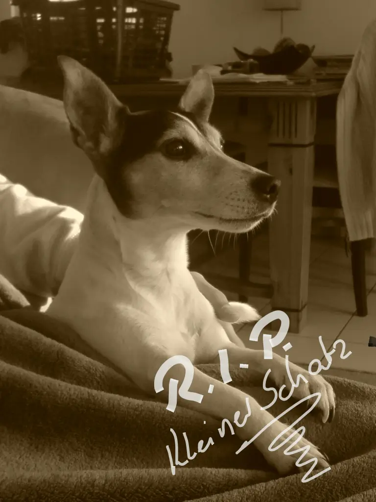 Image from Hugo