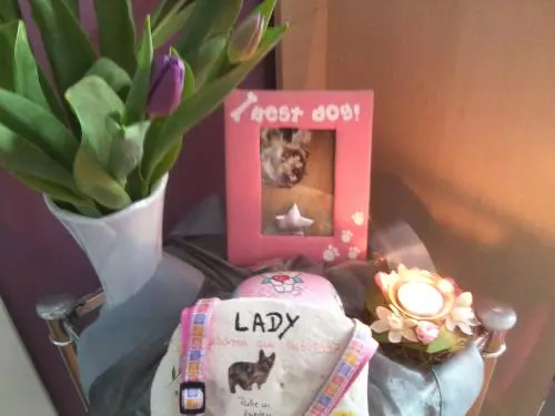 Image from LADY