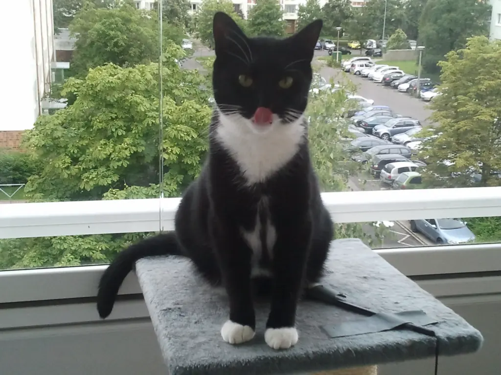 Image from Cleo