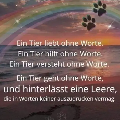 Andachtsbild von Snoopy ❤