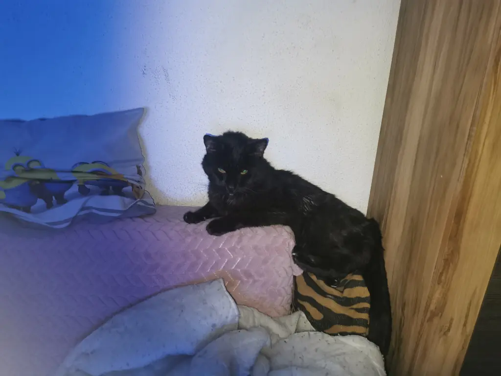 Andachtsbild von Sven Weißenberg