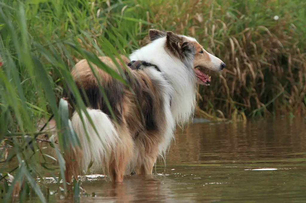 Bild von Bubbel