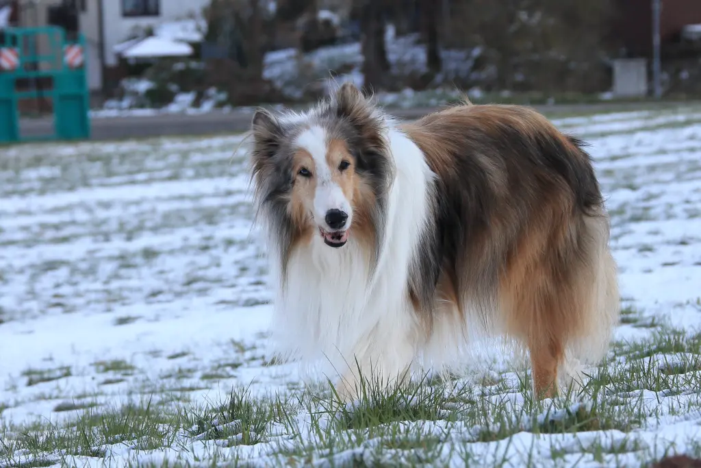 Bild von Bubbel