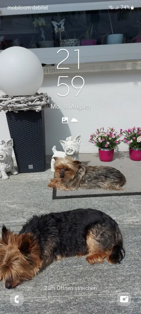 Andachtsbild von Elke mit Max im Herzen