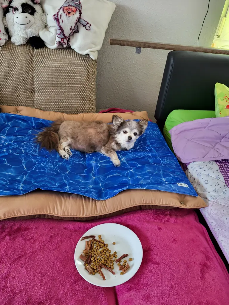 Andachtsbild von Susanne