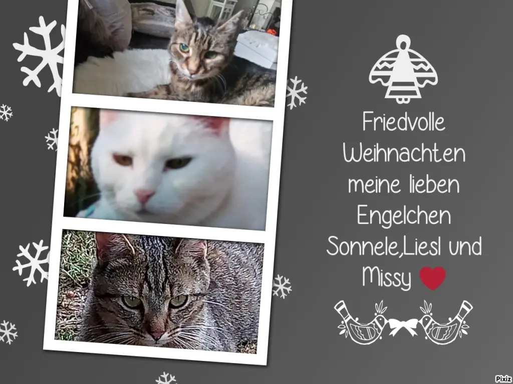 Andachtsbild von Für meine kleinen Engelchen Sisi,Lissy und Missy von Netti❤️i