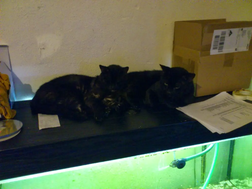 Andachtsbild von Sven Weißenberg