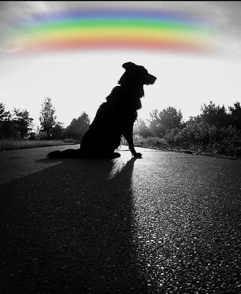 Andachtsbild von Nicole