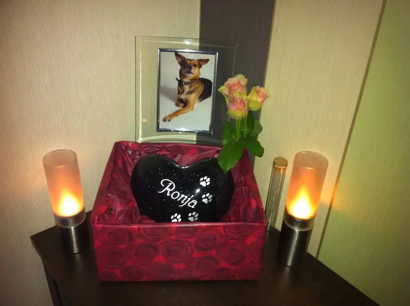 Condolence image of Jola