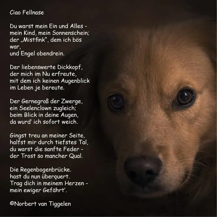 Andachtsbild von ❤❤