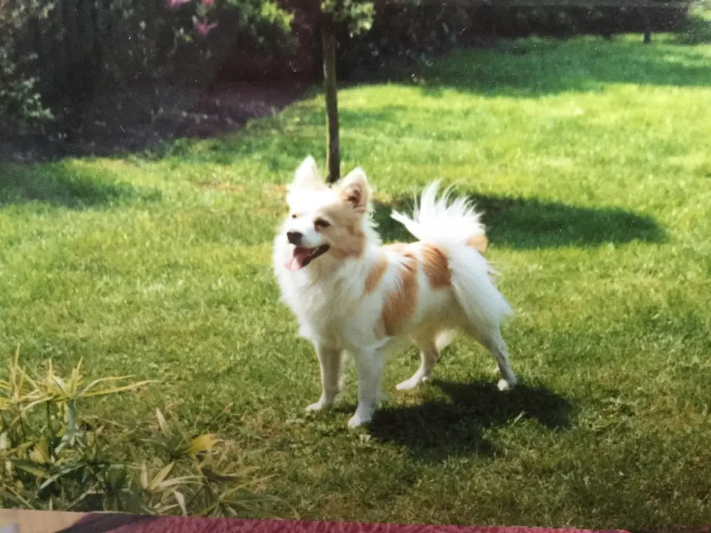 Condolence image of Gerda mit Moritz