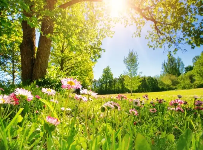 Condolence image of Gaby mit Snowy *im Herzen 