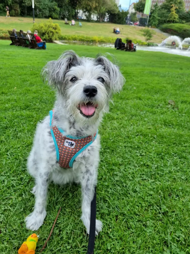 Condolence image of Regina und Shila ❤