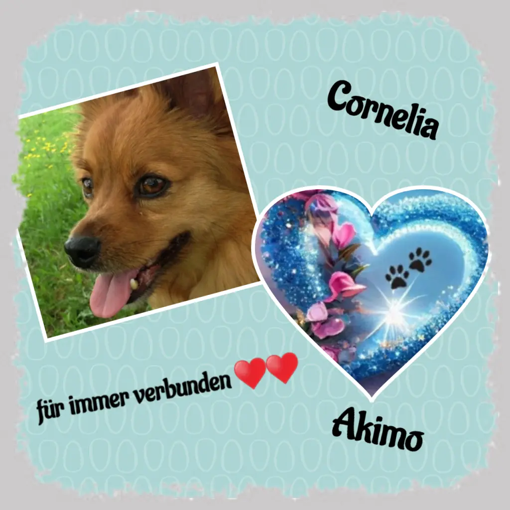 Condolence image of Herzliche Grüße aus Bonn ♥️