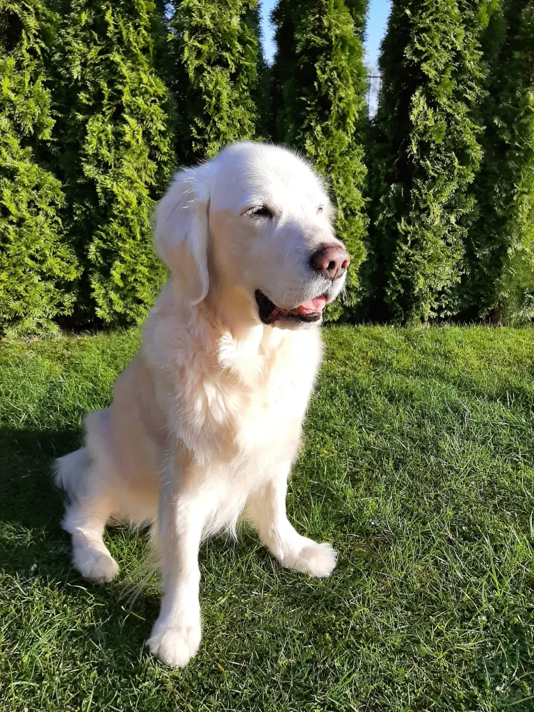 Condolence image of Claudia/ASKO ❤ 