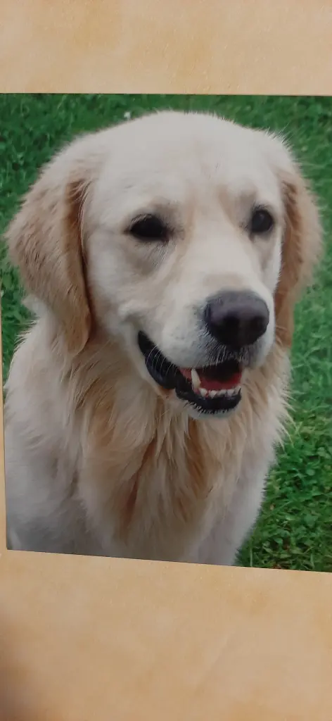 Condolence image of Claudia/ASKO ❤ 