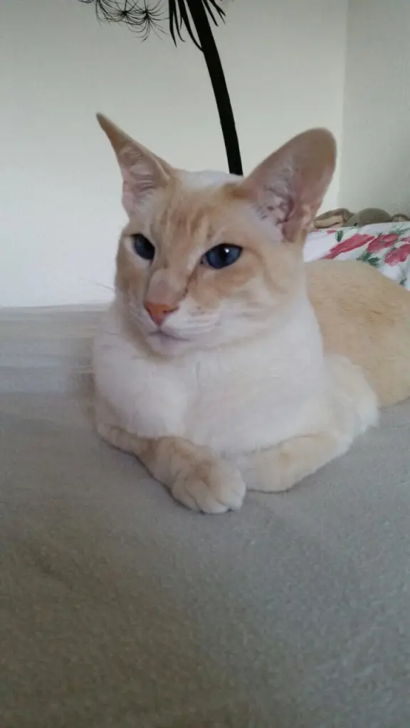 Condolence image of Gisela