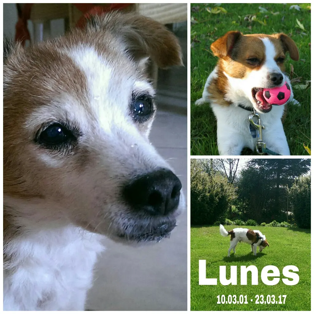 Image from Lunes
