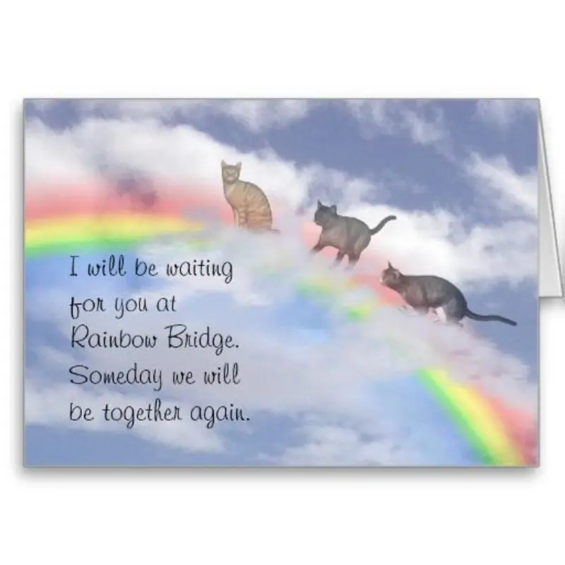 Condolence image of Askan, Barolo, Luni, Naomi, Toskana, Alex & Daniel