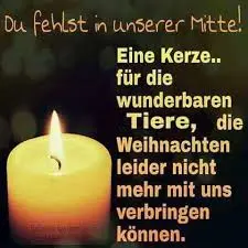 Condolence image of Annemarie und Elke mit Snoopy im Herzen gest.04.01.2022