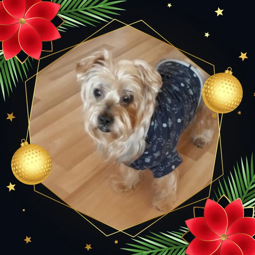 Condolence image of Andrea mit Minki im ♥️ gest. 19.10.2020