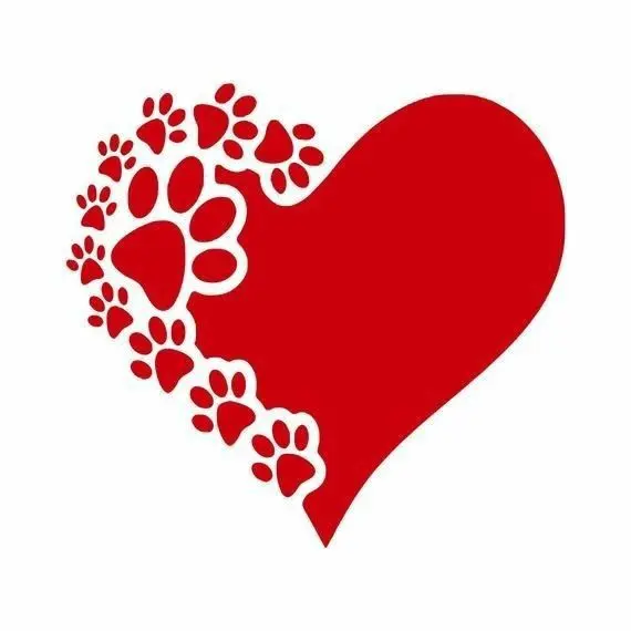 Condolence image of Martina mit Seelenhund Samy ♥️