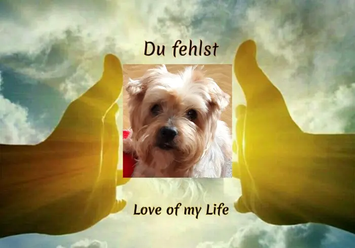 Condolence image of Ewa