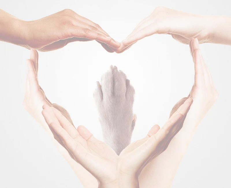 Condolence image of Krzysztof und Ewa 