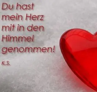 Condolence image of 12 Wochen ohne Dich Jackuś ❤