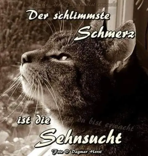 Condolence image of Annemarie und Elke mit Snoopy im Herzen gest.04.01.2022