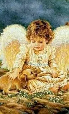 Condolence image of Martina mit Seelenhund Samy ♥️