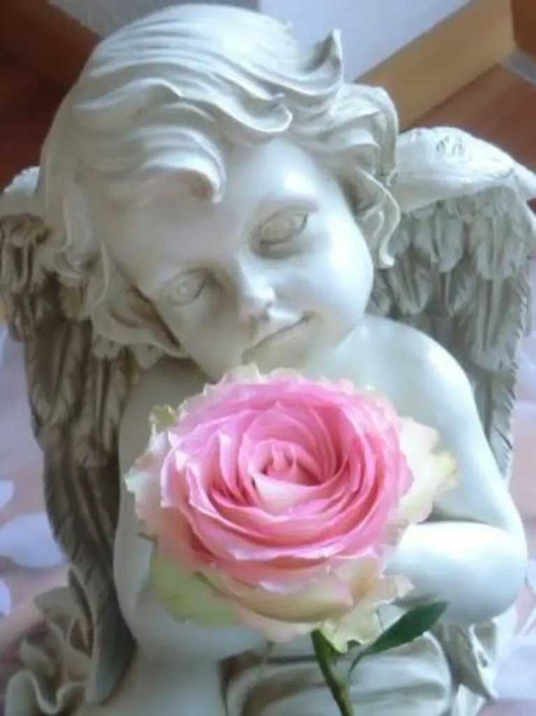 Condolence image of ❤️ Für Jacki ❤️